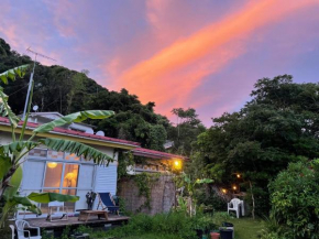 Guesthouse Papaya